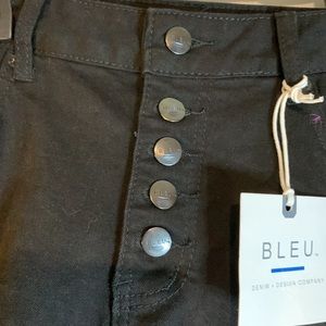 2/$20 Bleu 18W Button Fly Shorts